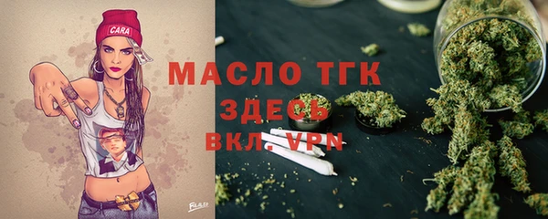 spice Богородицк